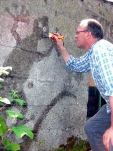 Man painting moss onto a wall in the shape of a lizard